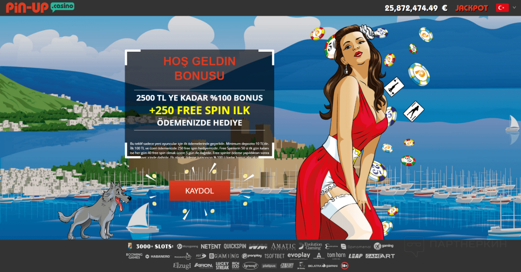 Pin casino tutucu