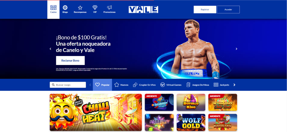 Casino Vale İncelemesi: Para Yatırma ve Çekme Yöntemleri